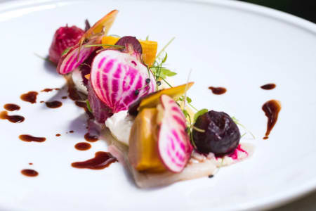 Elevated Plant-Based Cuisine