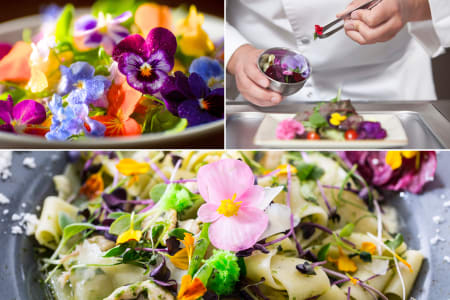 Floral Pasta Workshop