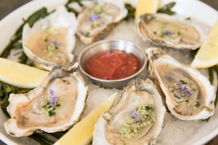 Become an Oyster Expert