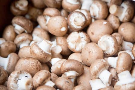 Mushroom Lovers Menu