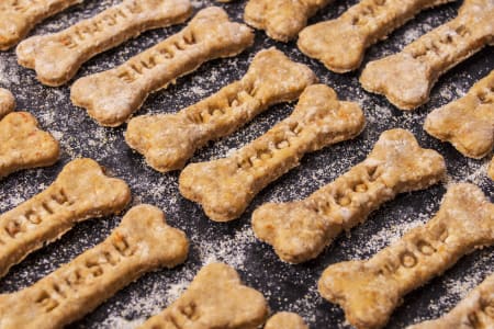 Homemade Holiday Dog Treats