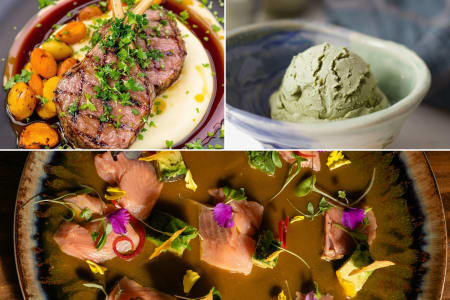 Umami & Elegance of Japanese Cuisine
