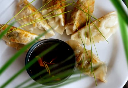 Boston Team Building Activity: Asian Dumplings Team Building