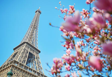 Pittsburgh Cooking Class: Classic French Fare Inspired by Emily in Paris