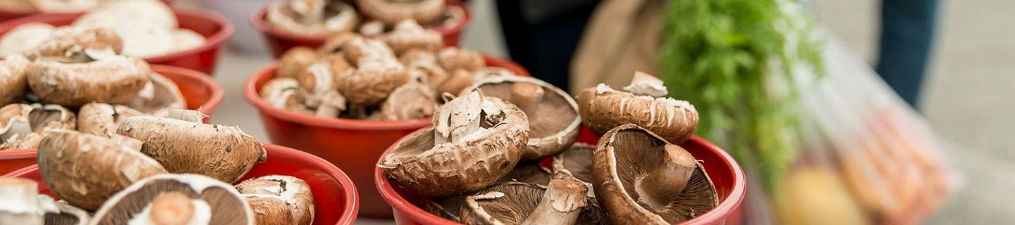 san francisco chinatown food tours