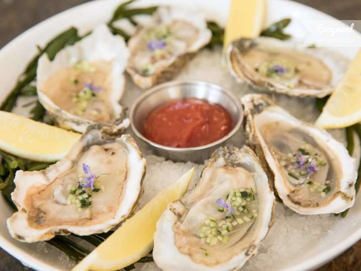 OPEN AIR TABLES FOR OYSTERS SHUCKED TABLESIDE OR TO SHUCK YOUR OWN And  other weekly events... 