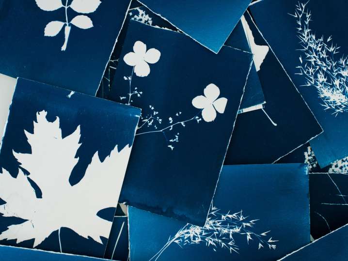 Mastering Cyanotypes (Camera-less Photography)