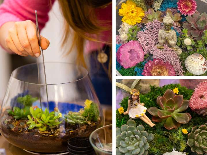 Crystal and Succulent Terrariums