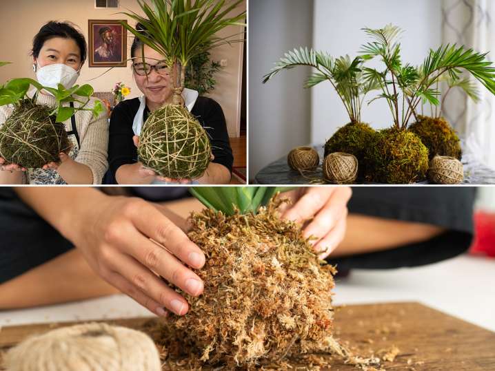 The Art of Kokedama