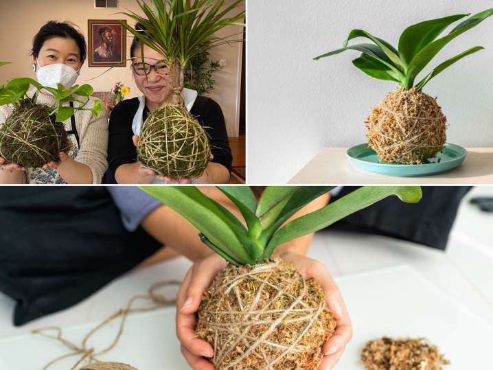 Kokedama Creation