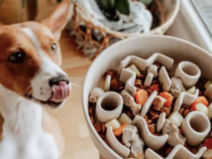 Handcrafted Ceramic Pet Bowls