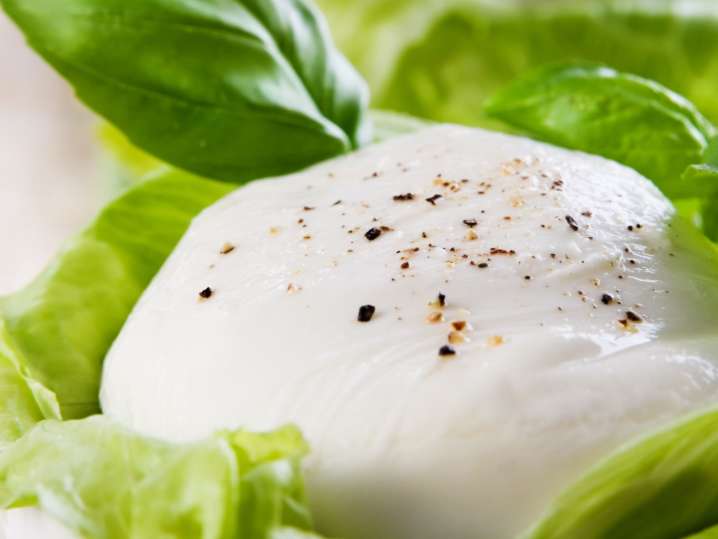 Homemade Mozzarella