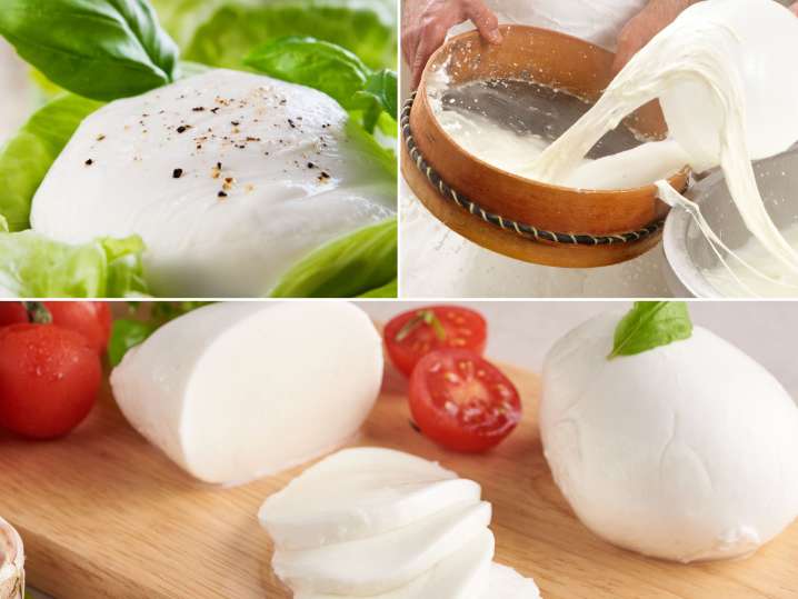 Homemade Mozzarella