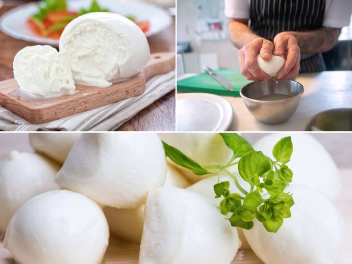 All About Tasty Mozzarella