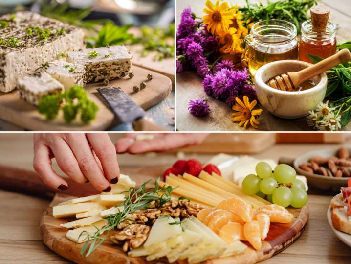 Cheese Tasting & Cheese Making