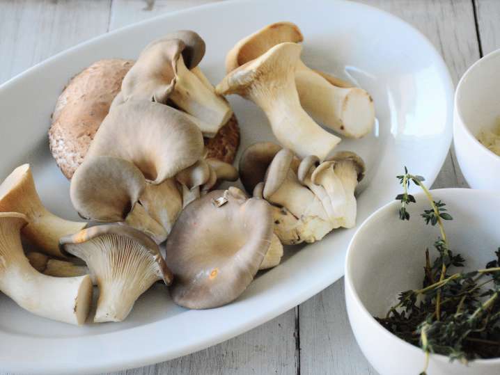 wild mushrooms on a plate with herbs and cheese Shot