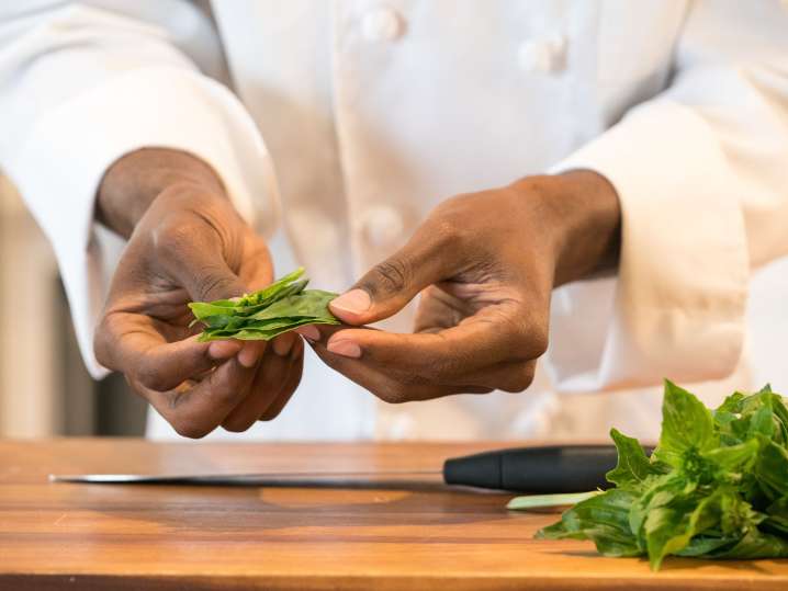 chef holding freshly picked basil leaves Shot