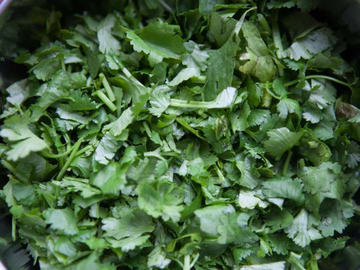 cilantro leaves in a bowl Shot