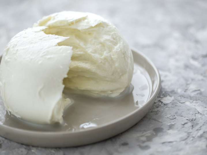 fresh mozzarella on a plate Shot