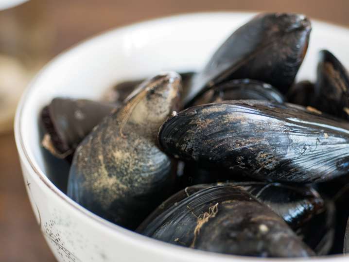 raw mussels in a bowl Shot