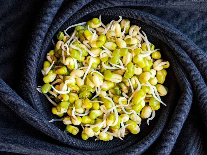 bean sprouts on a napkin Shot