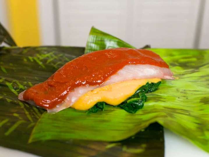 Fish | Classpop Shot