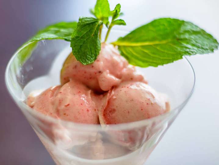 fruit sorbet | Classpop Shot