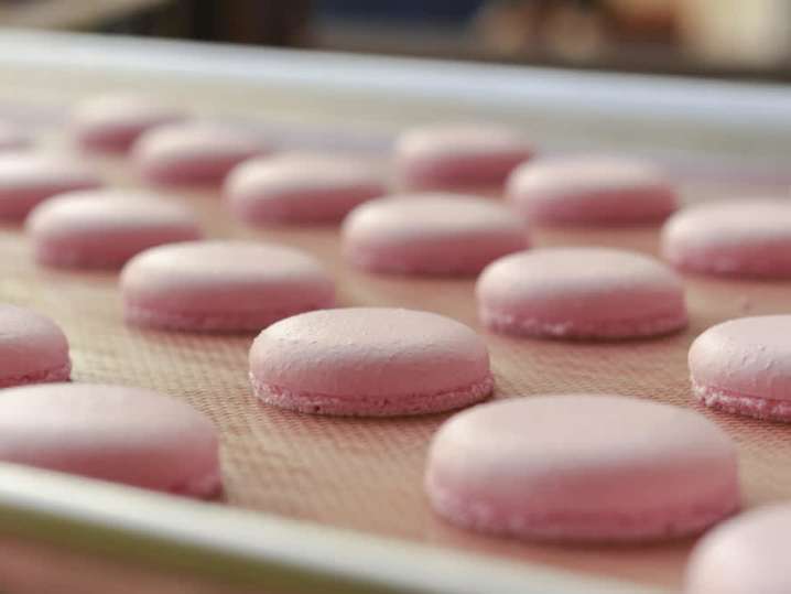 Macaron Shells | Classpop Shot