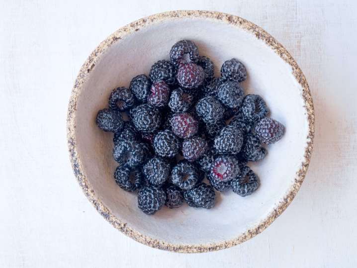 bowl of blackberries | Classpop Shot