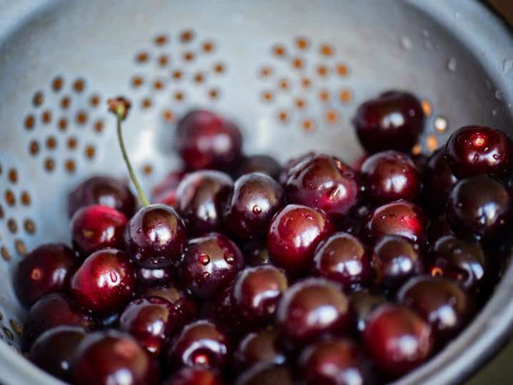 wild cherries | Classpop Shot