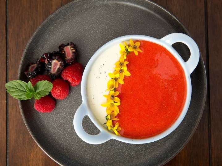 Meyer Lemon Panna Cotta | Classpop Shot