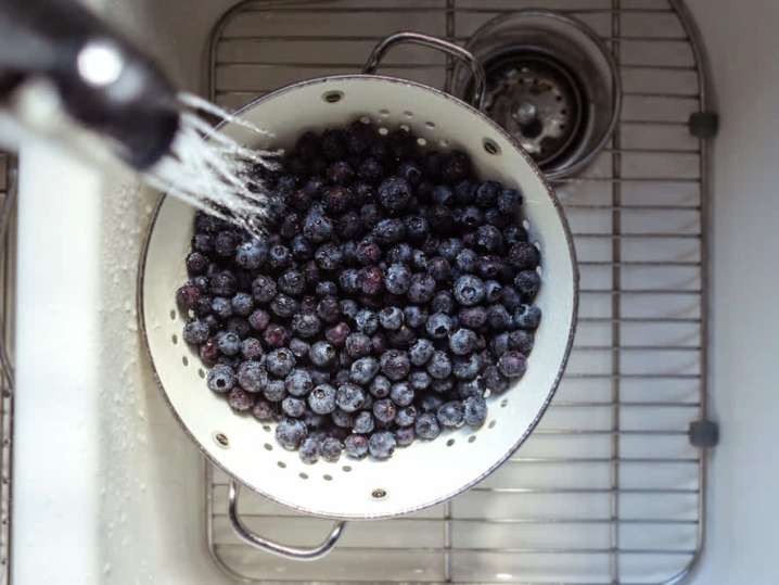 blueberries | Classpop Shot