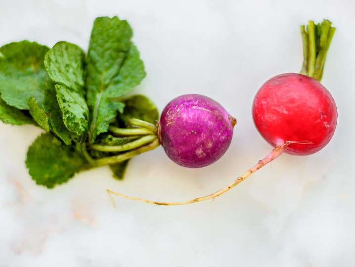 radishes | Classpop Shot