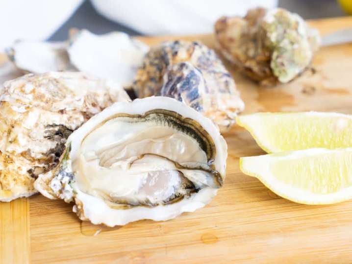 shucked oyster | Classpop Shot