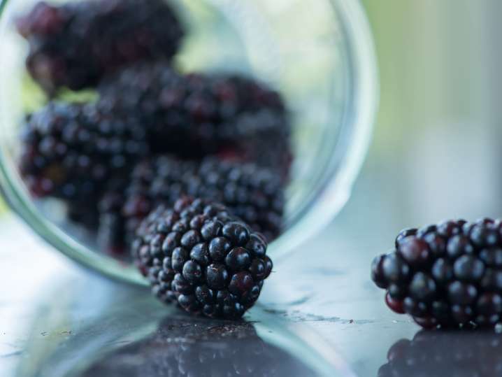 Blackberries | Classpop Shot