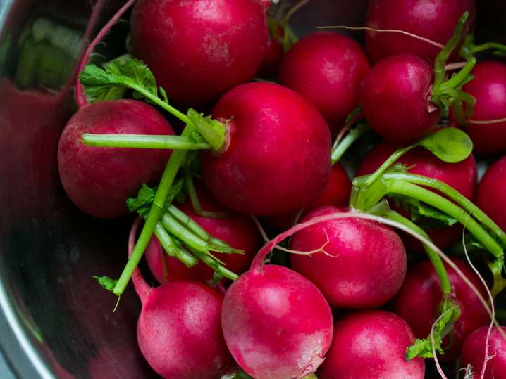 Radishes in a silver bowl | Classpop Shot