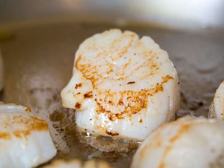 sauteing scallops | Classpop Shot