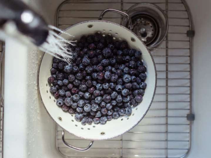 washing fresh blueberries | Classpop Shot