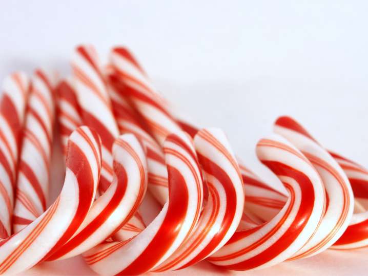 christmas candy canes | Classpop Shot