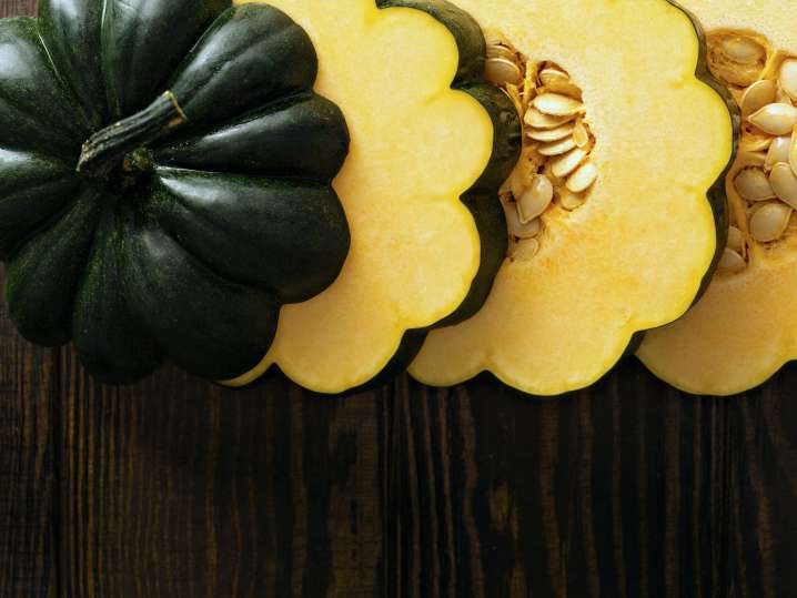 acorn squash | Classpop Shot