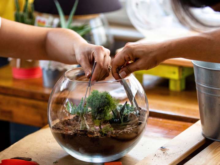 Tequila and Terrarium-Making