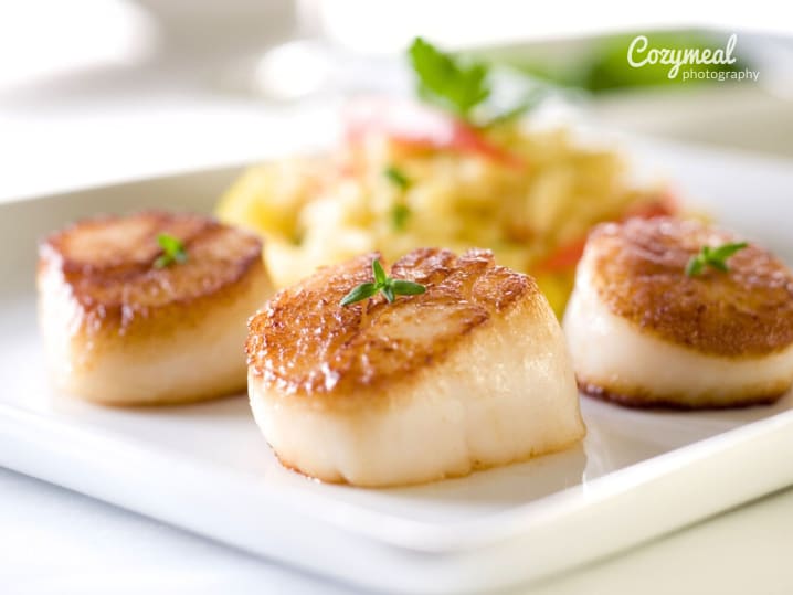 A seared scallop dish presented with garnish and sauce