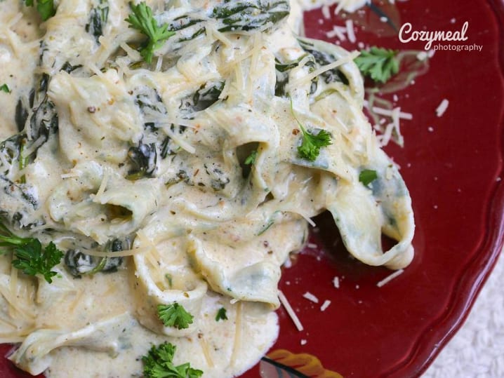 Spinach and Parmesan Pasta With Chardonnay Cream Sauce