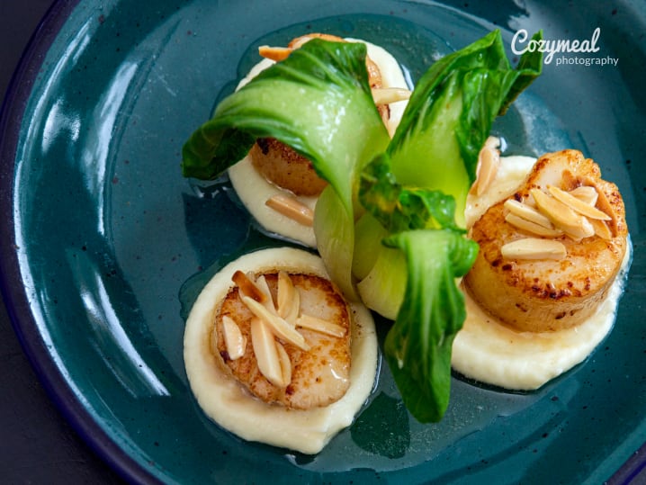 pan seared scallops