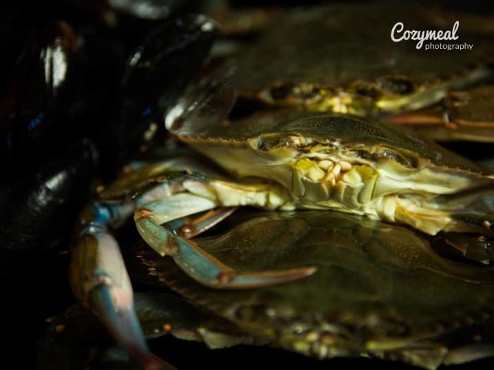 Crabs for seafood gumbo