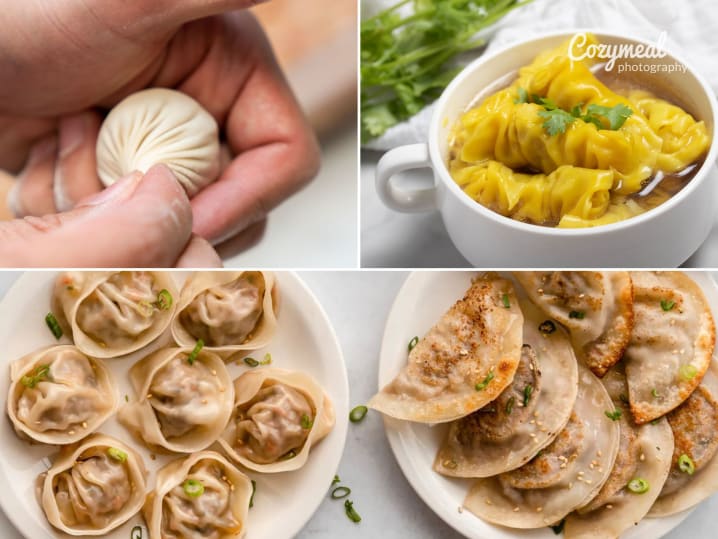 Dumplings 101  Gyoza Wontons More