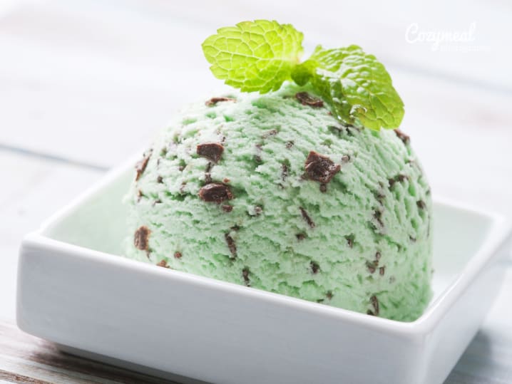 Mint chocolate chip gelato