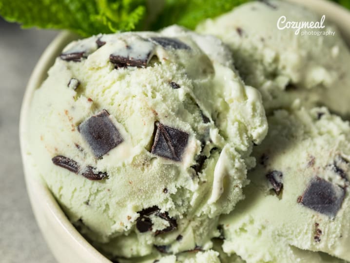 Mint chocolate chip gelato in bowl â€“ Creamy mint gelato with large chocolate chunks served in a ceramic bowl, garnished with fresh mint leaves.