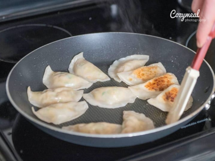 Pork and Leek Potstickers