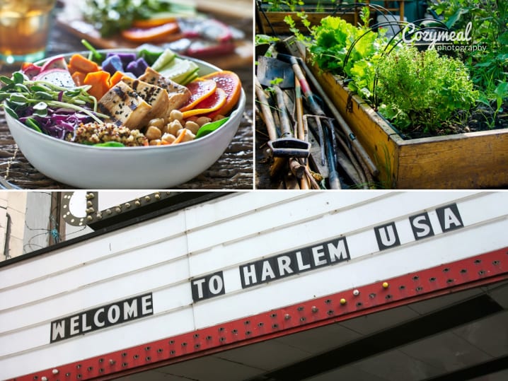 The Sustainable Side of Harlem